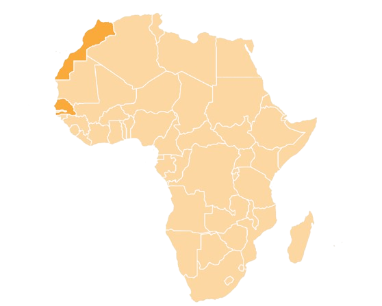 Ocs groupe|Contactez-nous