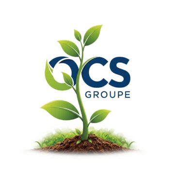 Gemini_Generated_Image_6q34as6q34as6q3